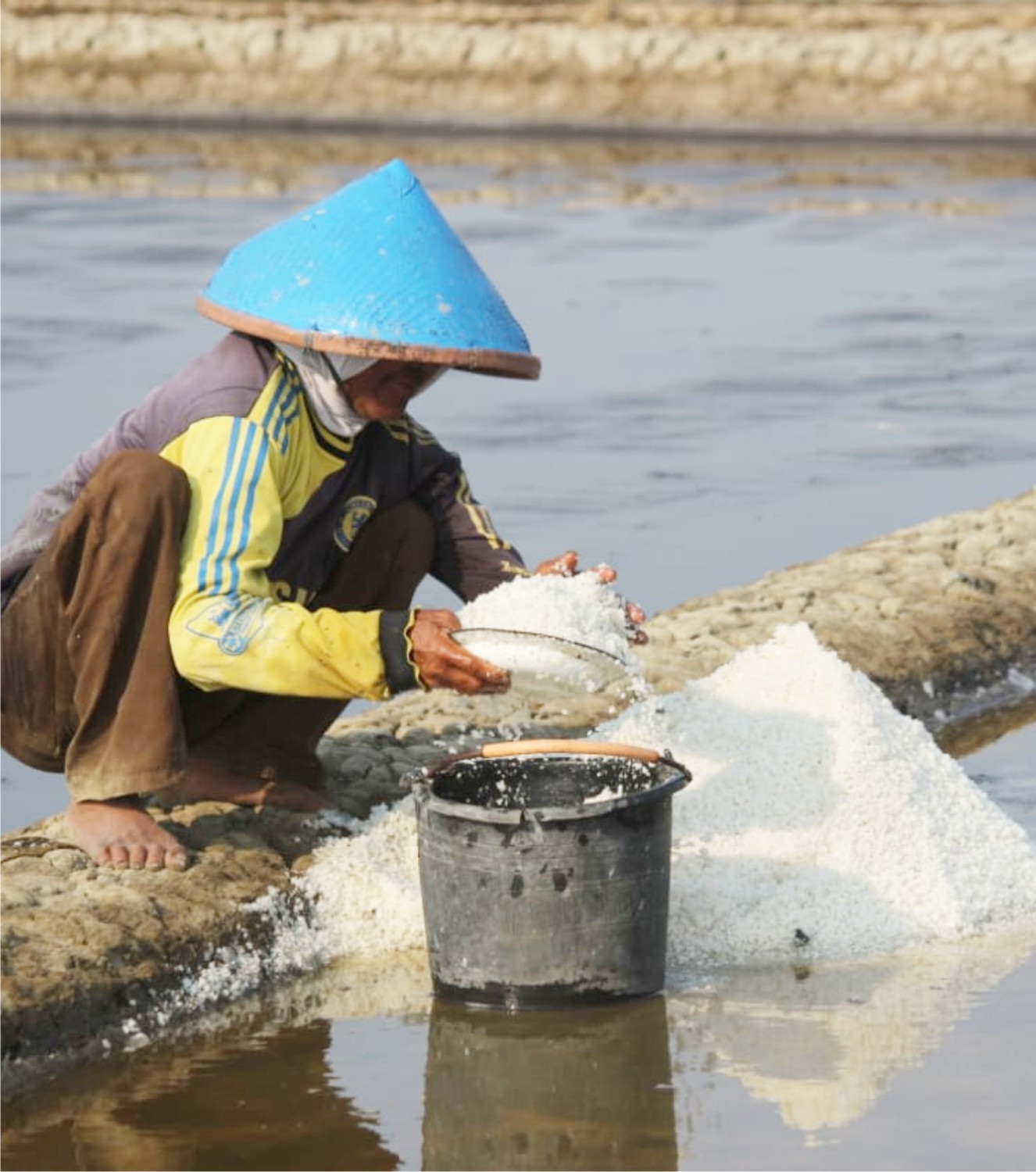 Harga Garam Cirebon Anjlok