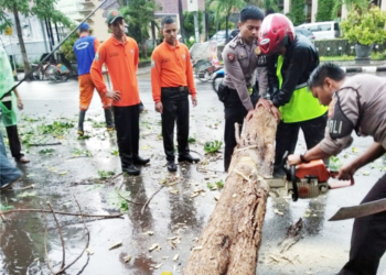Hujan dan Angin Tumbangkan Pohon Besar di Jalan Siliwangi