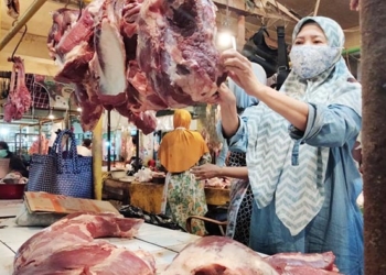 Pandemi dan Daging Beku Pukul Pedagang Daging Sapi Lokal