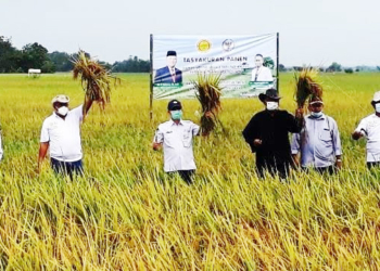 Jalan Panongan lor-Ciawijapura Mulus