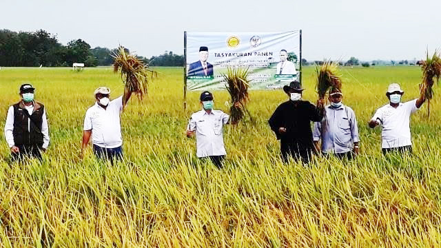 Jalan Panongan lor-Ciawijapura Mulus