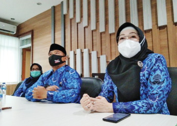 Kadinkes Kabupaten Cirebon: Insentif Nakes sudah Klir