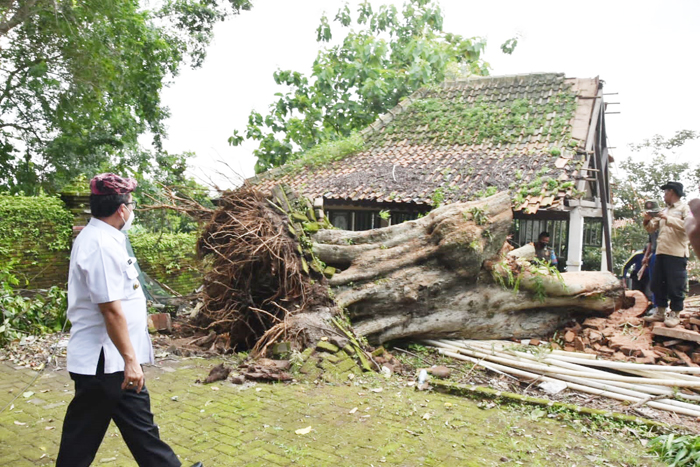 Pendopo Makam Mbah Kuwu Cirebon Rusak Tertimpa Pohon Setinggi 30 Meter