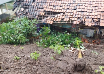Hujan Deras, 1 Rumah di Desa Belawa Tertimbun Longsor