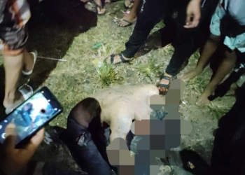 Diduga Maling Motor di Susukan, NN Babak Belur Diamuk Massa