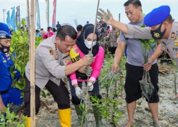 Polresta Cirebon Tanam Ribuan Mangrove