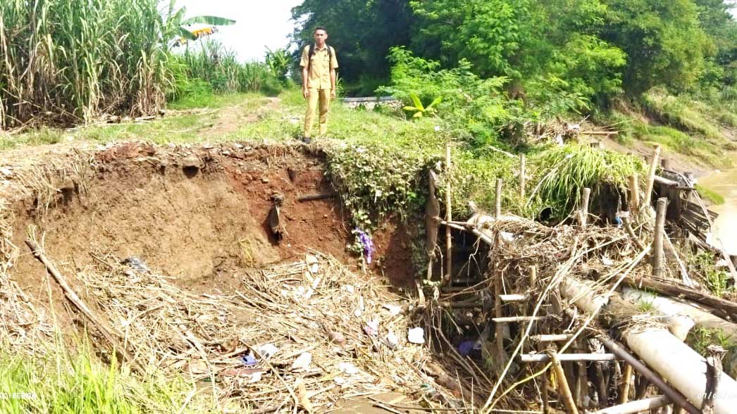 Tebing Sungai Cimanis Jebol, Permukiman dan Sawah Terendam, JUT Beringin Terancam Putus