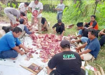PPP Majalengka Tebar Daging Kurban