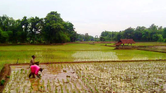 3-HL-Foto-Zonasi-Pupuk