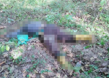 5 Hari Dicari di Hutan Sumurkondang, Pencari Kroto Ditemukan Tewas