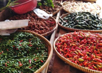 hargai-cabai-merangkak-naik