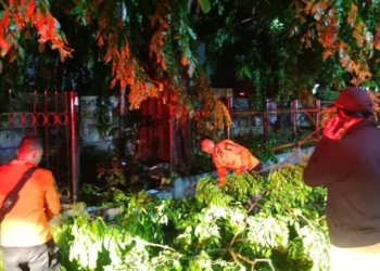 Petugas-BPBD-Kota-Cirebon-Bersihkan-Pohon