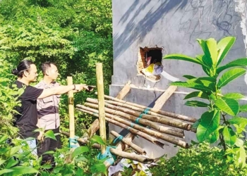 Pencuri Bobol Tembok dan Brankas Alfamart Budur