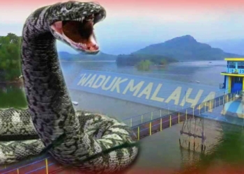Misteri Waduk Malahayu, Ditunggu Ular Raksasa Si Buntung dan Mitos Jodoh Abadi
