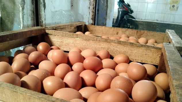 Harga Telur Ayam Ras Kembali Naik, Tembus Rp 30.000 per Kilogram