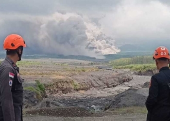 Jelang Libur Nataru, Ada 7 Daerah Berpotensi Tsunami, Wisatawan Diimbau Hati-hati, BPDB Jatim Ungkap 8 Titik Rawan Bencana