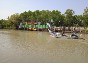 Ekowisata Mangrove Caplok Barong di Desa Ambulu Kecamatan Losari Tawarkan Pariwisata Asri