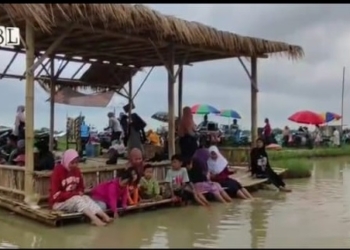 Destinasi Wisata Jalan Cinta Desa Mulyasari Losari dengan Konsep Persawahan Bisa Jadi Alternatif Edukasi Anak