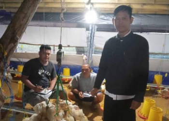 Panen Ayam Broiler Jadi Awal Tingkatkan PADes, BUMDes Gagasari Sudah Panen ke Dua Kalinya Sebanyak 10.000 Ekor