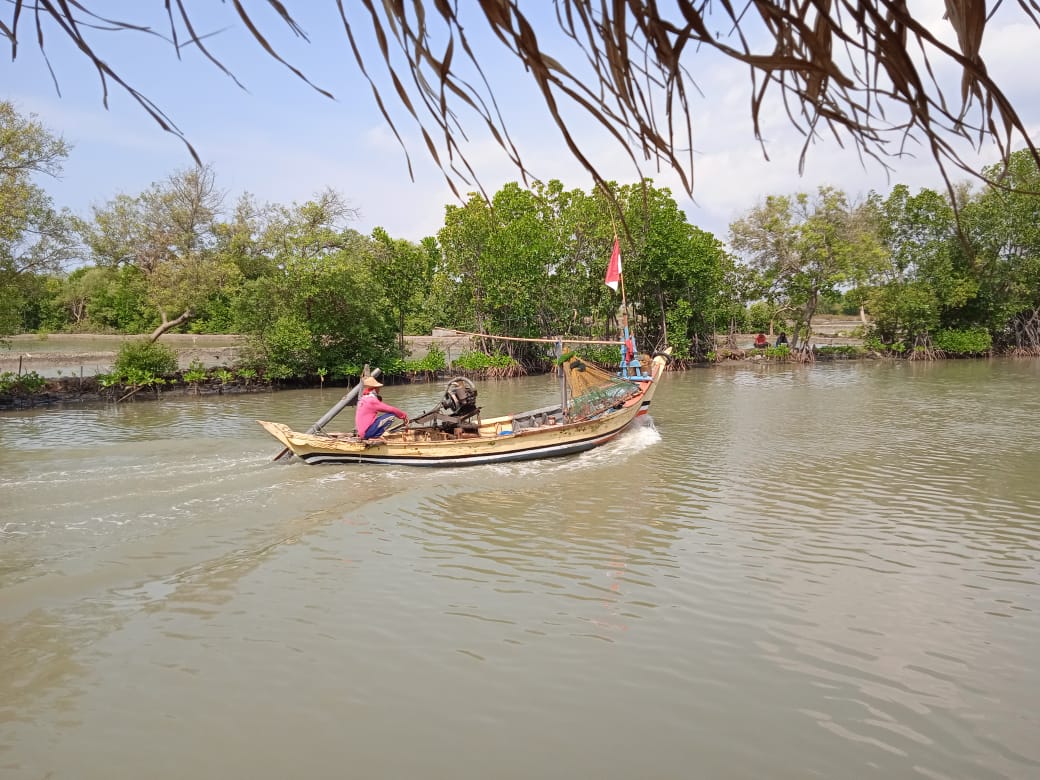 Adanya Fenomena El Nino, Kemarau Tahun 2023 Lebih Kering, Kementerian PUPR Lakukan Ini