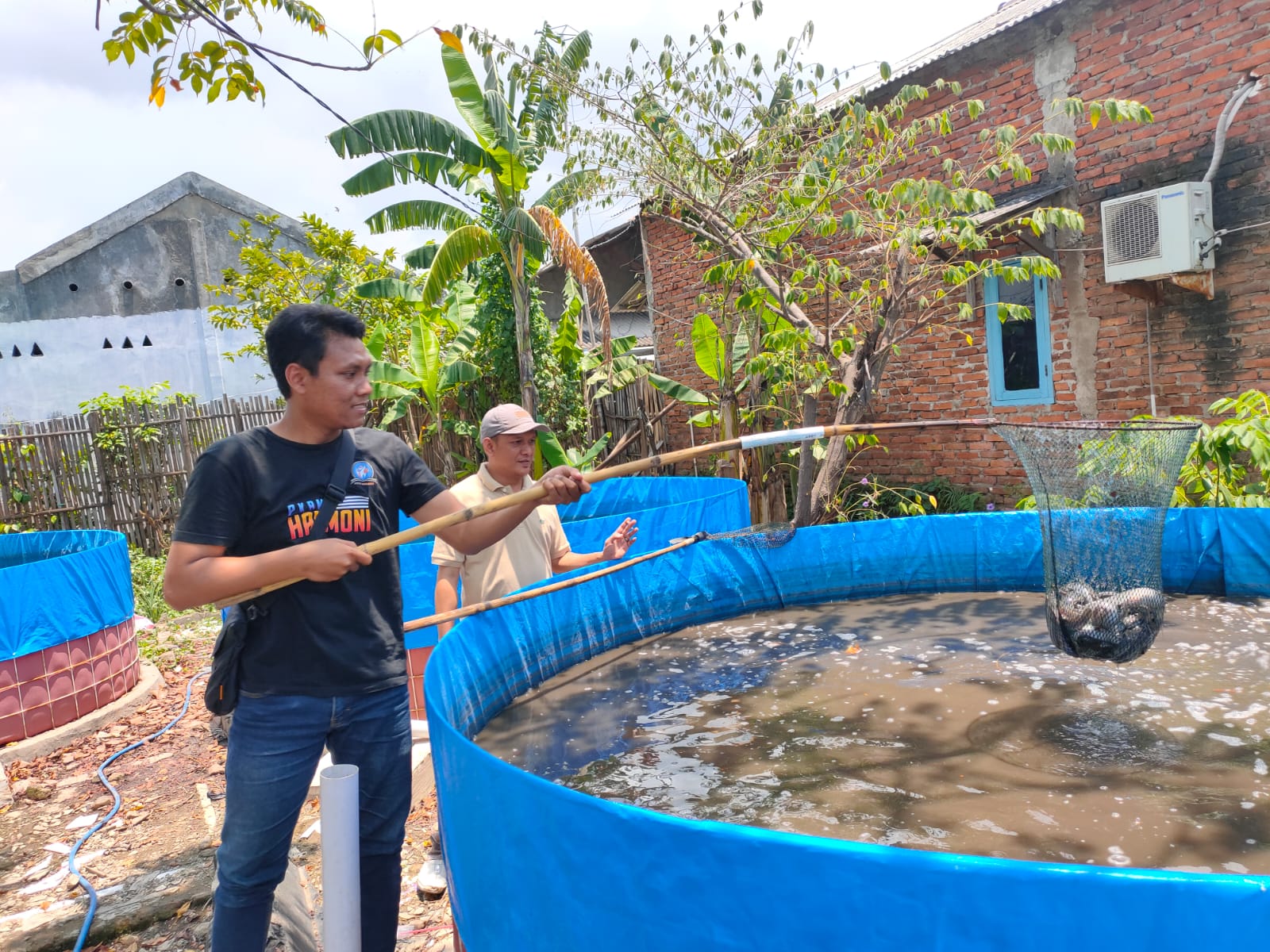 Sehari sebelum Ramadan Warga Pesisir Kota Cirebon Panen Lele, Buah dari Program Pemberdayaan Masyarakat yang Difasilitasi Anggota Dewan