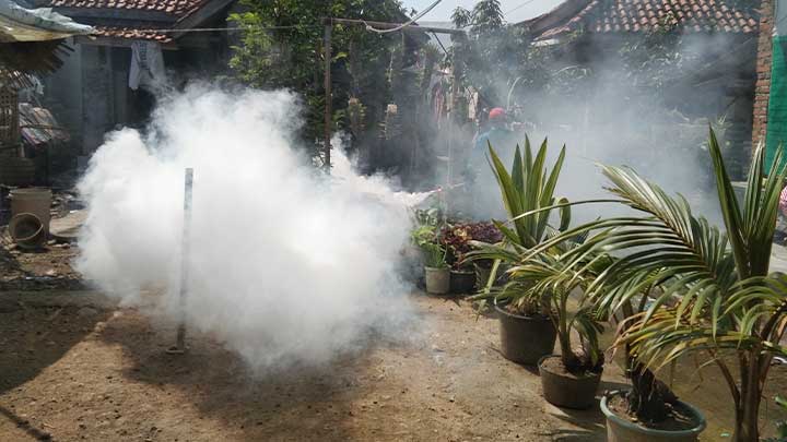 DBD di Kabupaten Cirebon Tembus 299 Kasus, 2 Meninggal Dunia