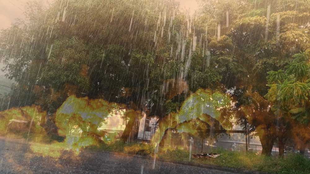 Pesisir Pantura Indramayu dan Cirebon Diguyur Hujan, Suhu Panas Turun Meski Sejenak