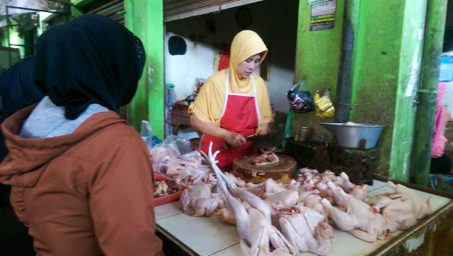 Harga Daging Ayam Naik Capai Rp 44 Ribu per KG, Keuntungan Berkurang, Pedagang Terancam Rugi