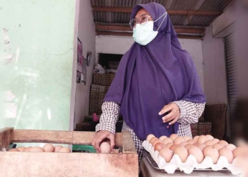 Harga Telur di Kabupaten Cirebon Meroket, Omzet Turun Drastis