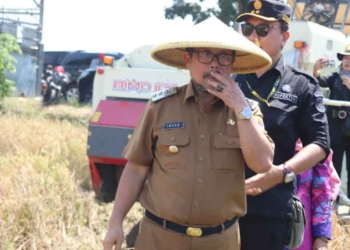 Panen Raya, Bupati Imron Sampaikan Keluhan Petani Kabupaten Cirebon ke Kementan