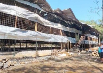 Kebakaran Kandang Ayam di Majalengka, Miliaran Rupiah Hangus