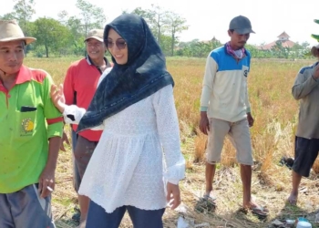 Elektabilitas Bacaleg PDIP Kabupaten Cirebon Fitriyanah Diyakini Meningkat