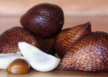 Manfaat Kulit Salak, Bisa Sembuhkan Diabetes atau Kencing Manis, Mudah, Begini Caranya
