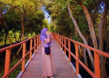 Wisata di Indramayu, Jalan-Jalan ke Pantai dan Hutan Mangrove Karangsong Lalu Makan Pindang Gombyang dan Olahan Seafood Segar