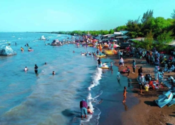 Wisata di Indramayu, Jalan-Jalan ke Pantai dan Hutan Mangrove Karangsong Lalu Makan Pindang Gombyang dan Olahan Seafood Segar
