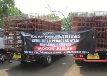 Tak Semuanya Mogok, Disperdagin Kabupaten Cirebon Minta Pedagang Daging Ayam Tetap Jualan