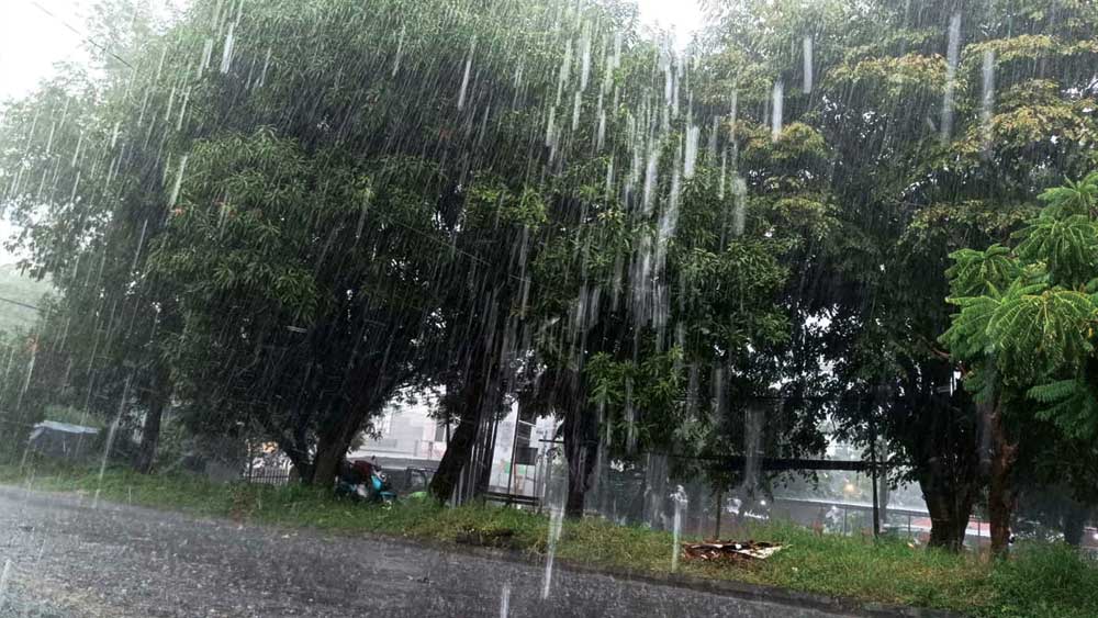 Sebulan Kering, Indramayu Diguyur Hujan Deras