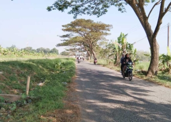 PJU Kaliwedi Cirebon Tak Bisa Langsung Dieksekusi, Harus Ada Usulan dari Arjawinangun Dulu
