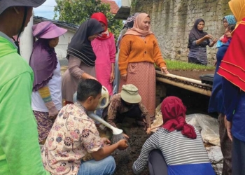 PNM Peduli Olah Limbah Kotoran Ternak Jadi Berkah di Kampung Madani Cibodas Bandung