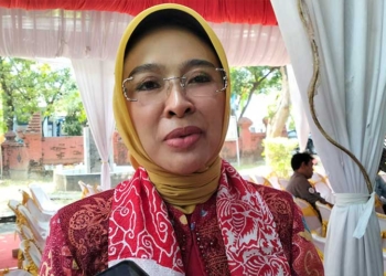 Ayu Tanggapi Dingin Isu Duet Imron-Muali di Pilbup Cirebon