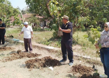 Jaga Kualitas Udara dengan Menanam Pohon