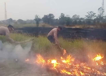 Kebakaran Lahan Kosong Makin Sering Terjadi