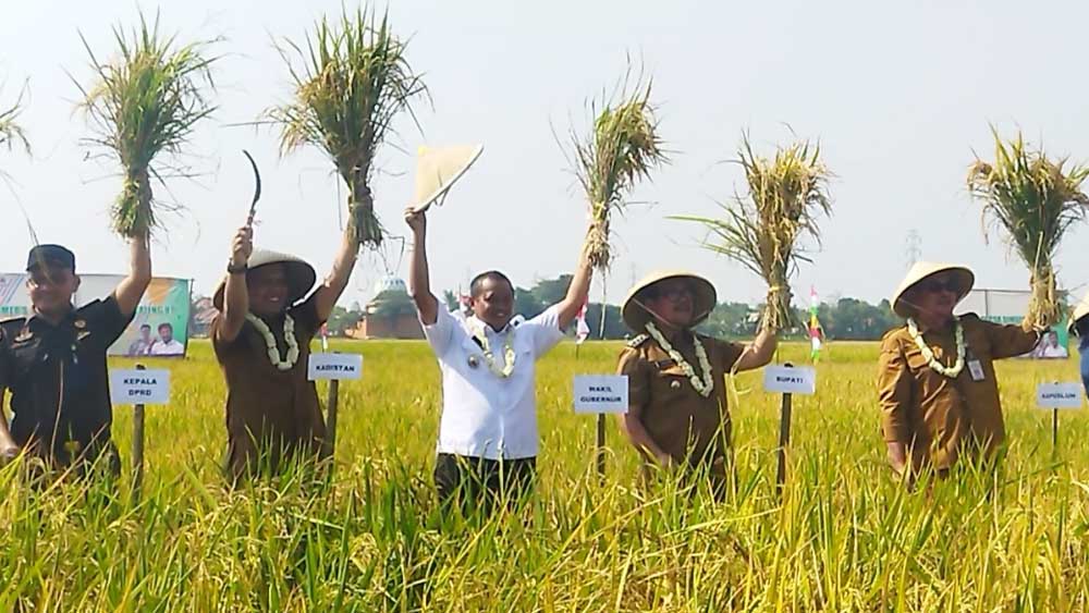Petani Diminta Tak Jual Lahan Sawah