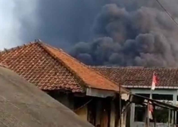 Ratusan Ribu Ekor Ayam di Majalengka Mati Terpanggang, Damkar Kerahkan 15 Personel