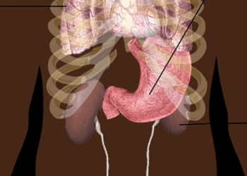 Singapura Diserang 300 Ribu Pasien Gagal Ginjal, Penyebab Terbesar Ternyata Ini