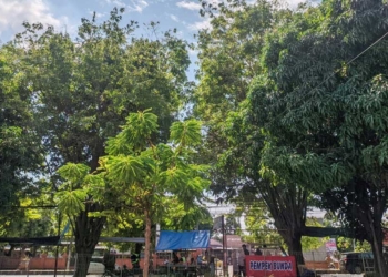 Hingga Sepekan Kedepan Cirebon Diterjang Angin Kencang 45 Km/Jam, Pertanda Masuki Musim Hujan