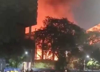 Museum Nasional Terbakar, Replika Pra Sejarah Hangus Dilalap Api