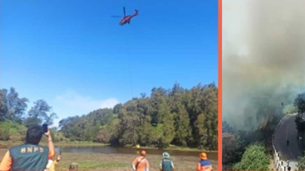 Tersangka Kebakaran Bukit Teletubbies, Gunung Bromo Dijerat UU Ciptaker, Terancam Penjara 5 Tahun dan Denda Rp.1,5 Miliar