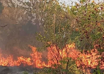 Wisata Bukit Azimut Terbakar, Ribuan Pohon Hangus Dilalap Api