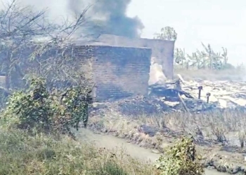Kebakaran di Cirebon, Kandang Ayam Broiler di Bakung Kidul Ludes Dilalap Api